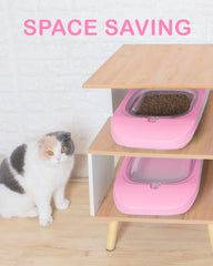 DDMOMMY silicone dog bowl highlights flexible, pet-friendly dining accessory.