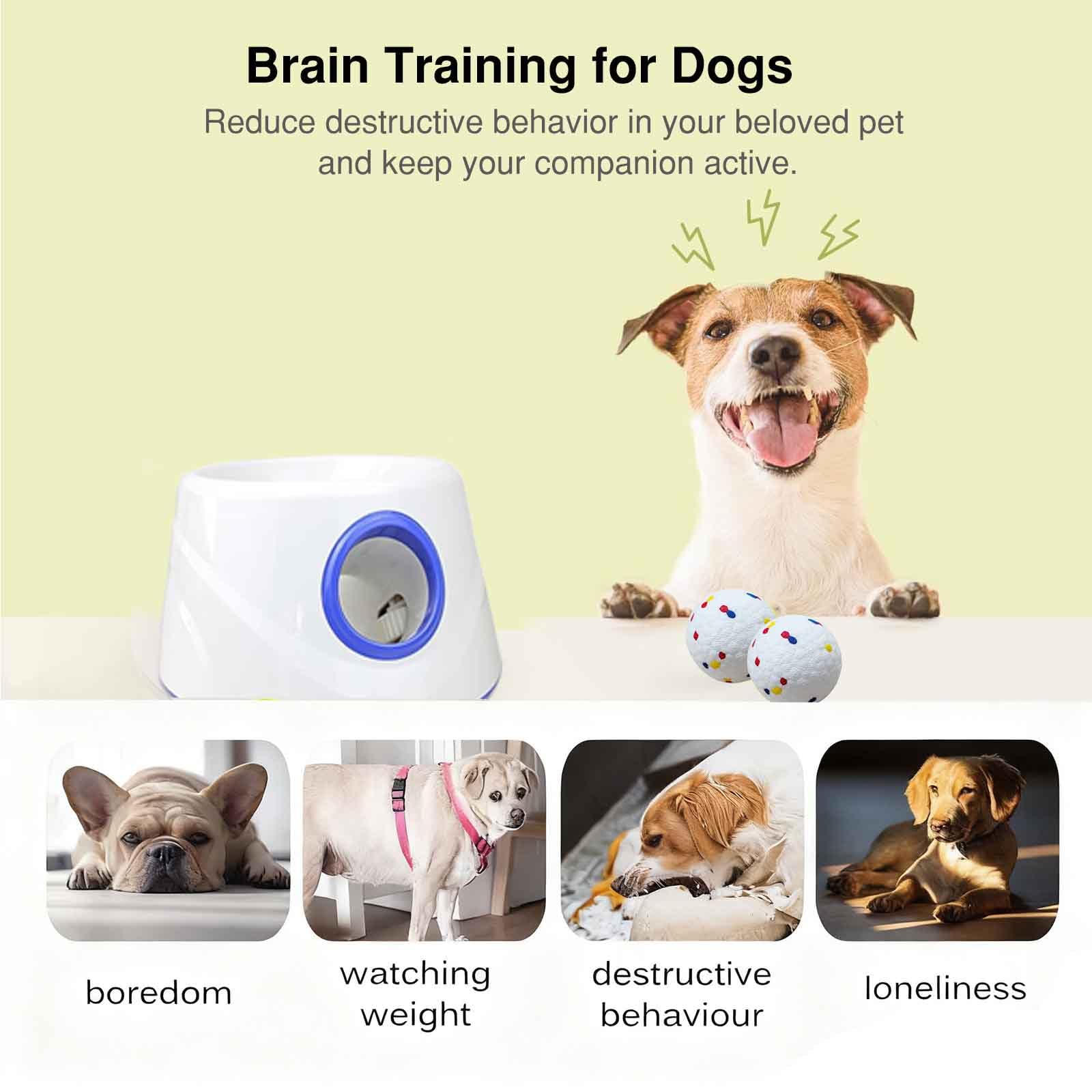 DDQ automatic dog ball launcher top view highlights simple controls