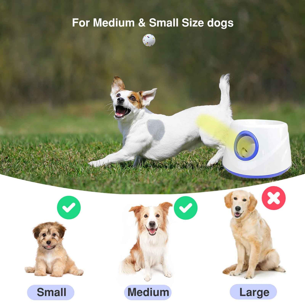 DDQ small-medium-dog-launcher-use demonstrated in cozy home space