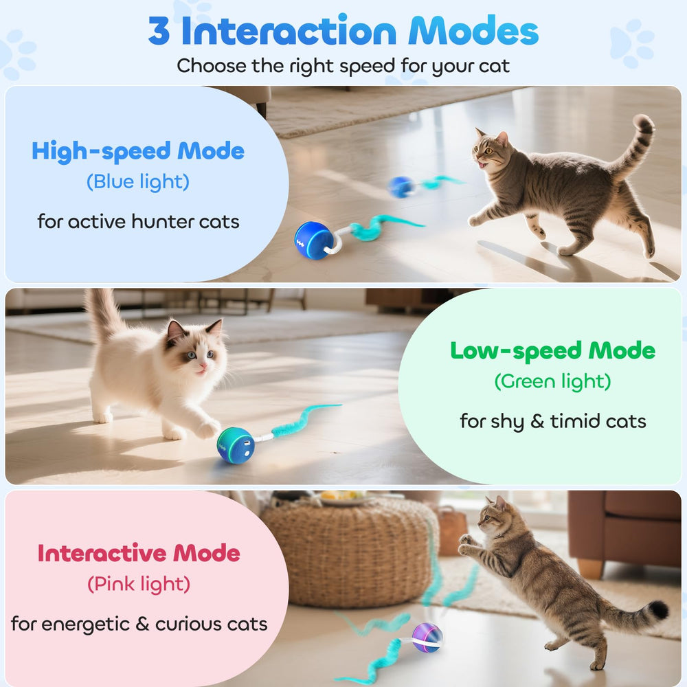 ddxcoo automatic cat toy ball green low-speed mode for shy cats