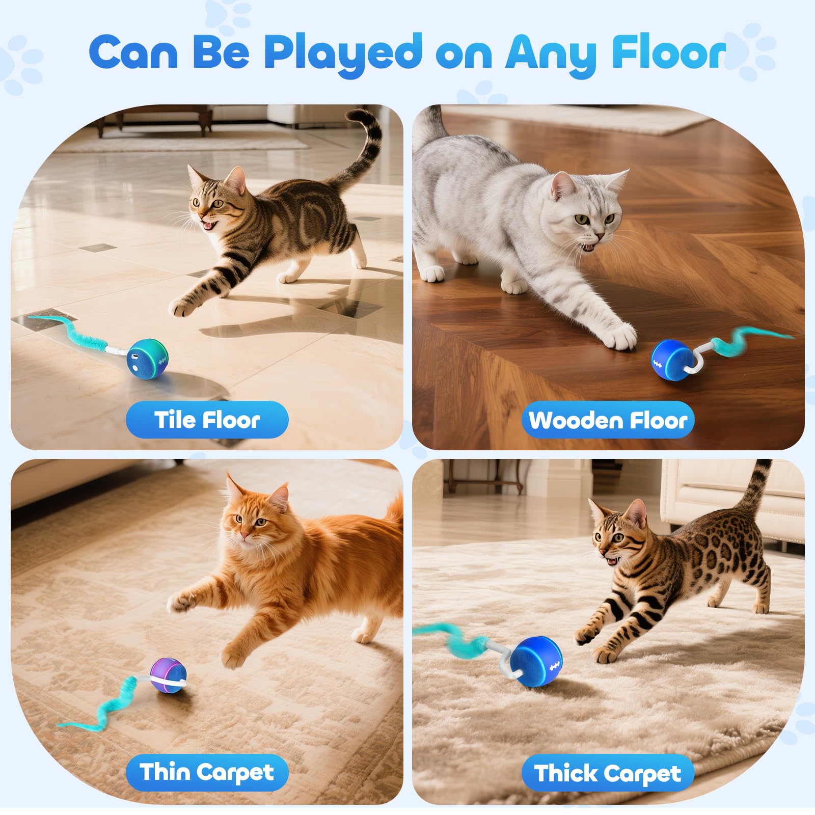 ddxcoo automatic cat toy ball on carpet demonstrates carpet-safe performance