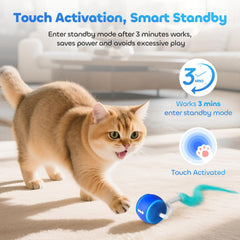 ddxcoo automatic cat toy ball pink interactive mode activated by touch