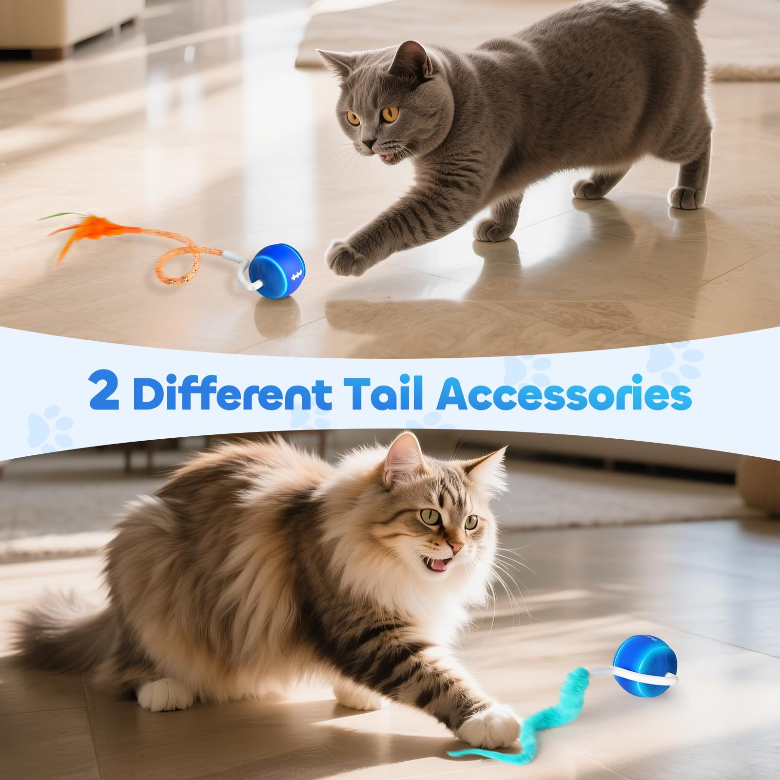 ddxcoo automatic cat toy ball semi-enclosed tail resists hair tangling