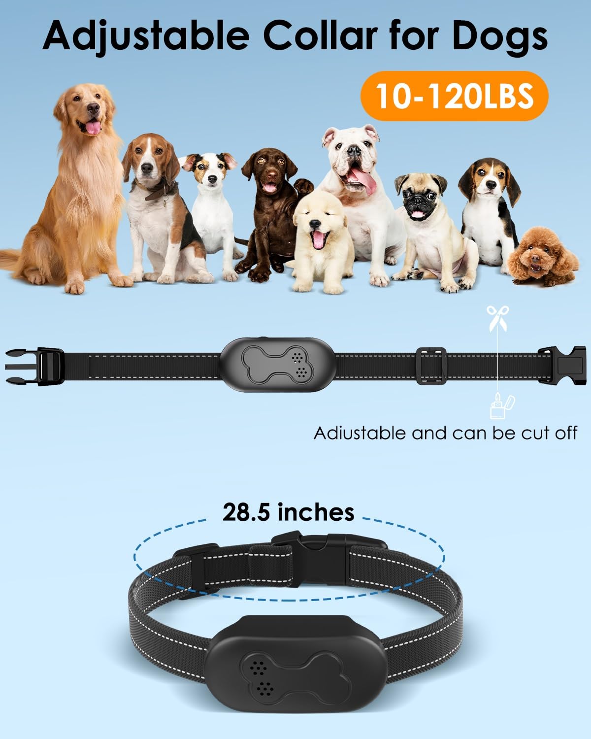 DDZ IPX7 waterproof collar for all-weather training, rain or pool play.
