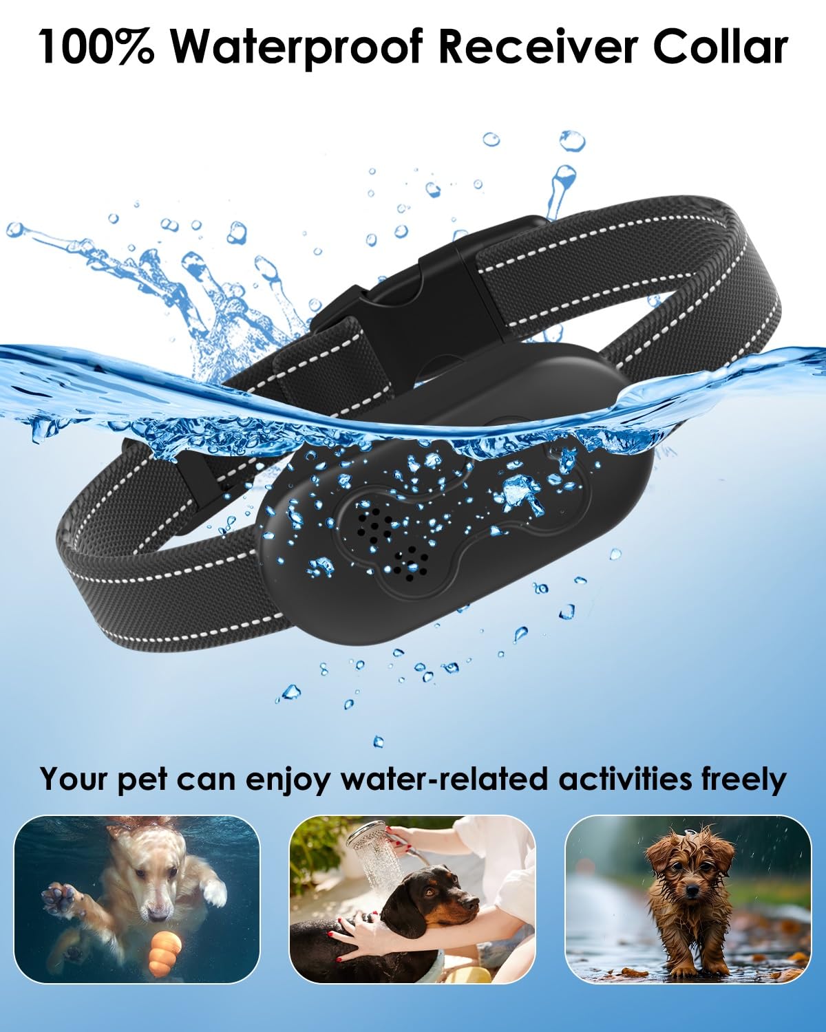 DDZ training collar in use during outdoor sessions offers humane correction and focus.