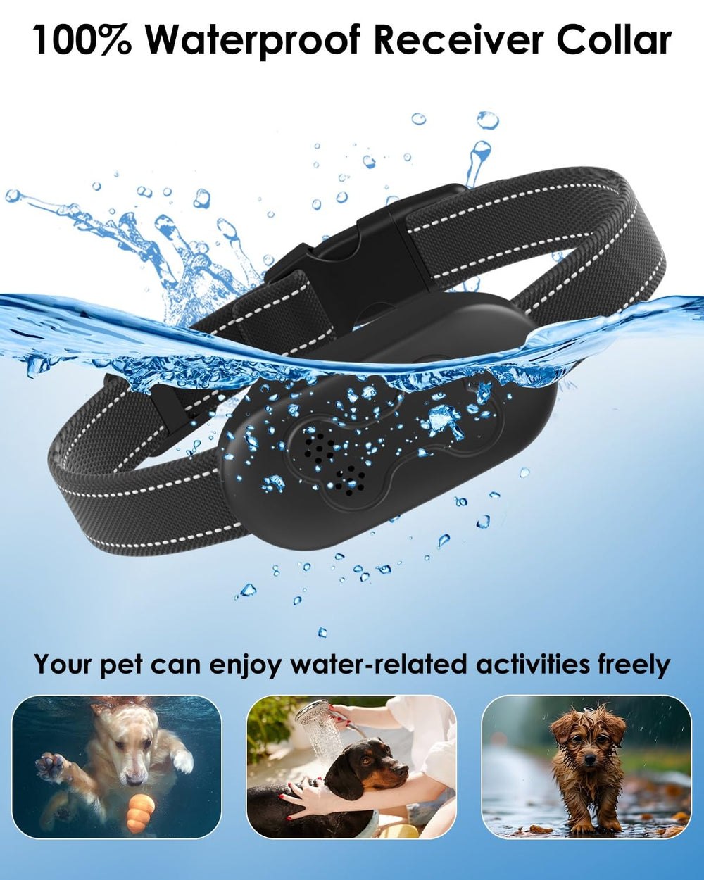 DDZ training collar in use during outdoor sessions offers humane correction and focus.