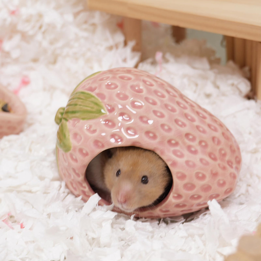 Deapeey strawberry-themed shelter decor brightens cage ambiance and playtime.