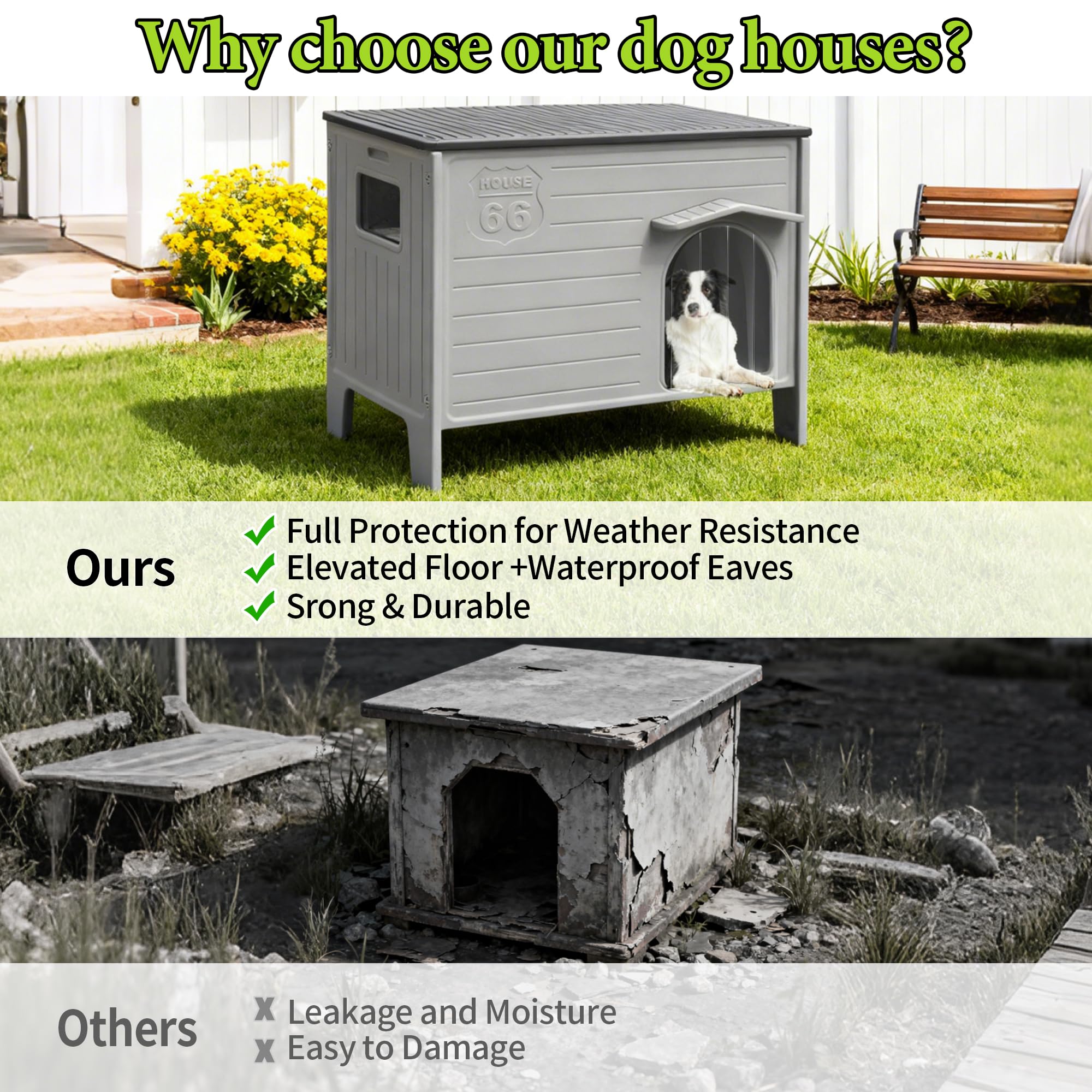 Deblue dog house interior cozy space with elevated floor for comfort