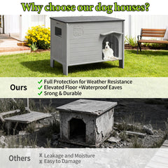 Deblue dog house interior cozy space with elevated floor for comfort