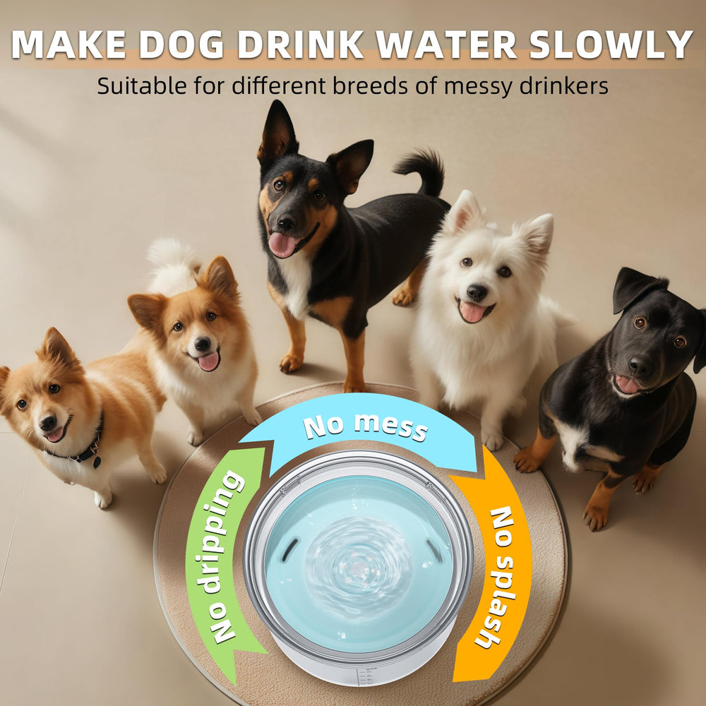 Decflow home, travel, and outdoor use ideal for pets and on-the-go hydration.