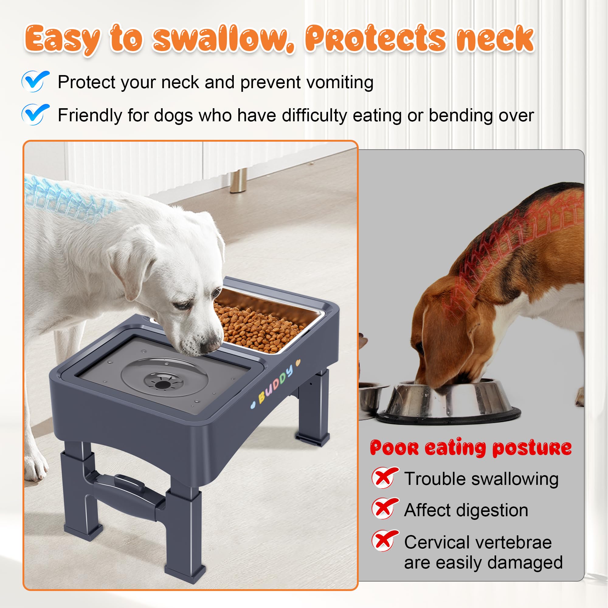 Decflow stainless steel bowl close-up highlights durable, easy-clean feeding.