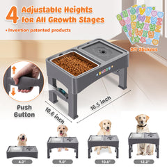 Decflow stainless steel dogfood bowl demonstrating durable, rust-resistant dining