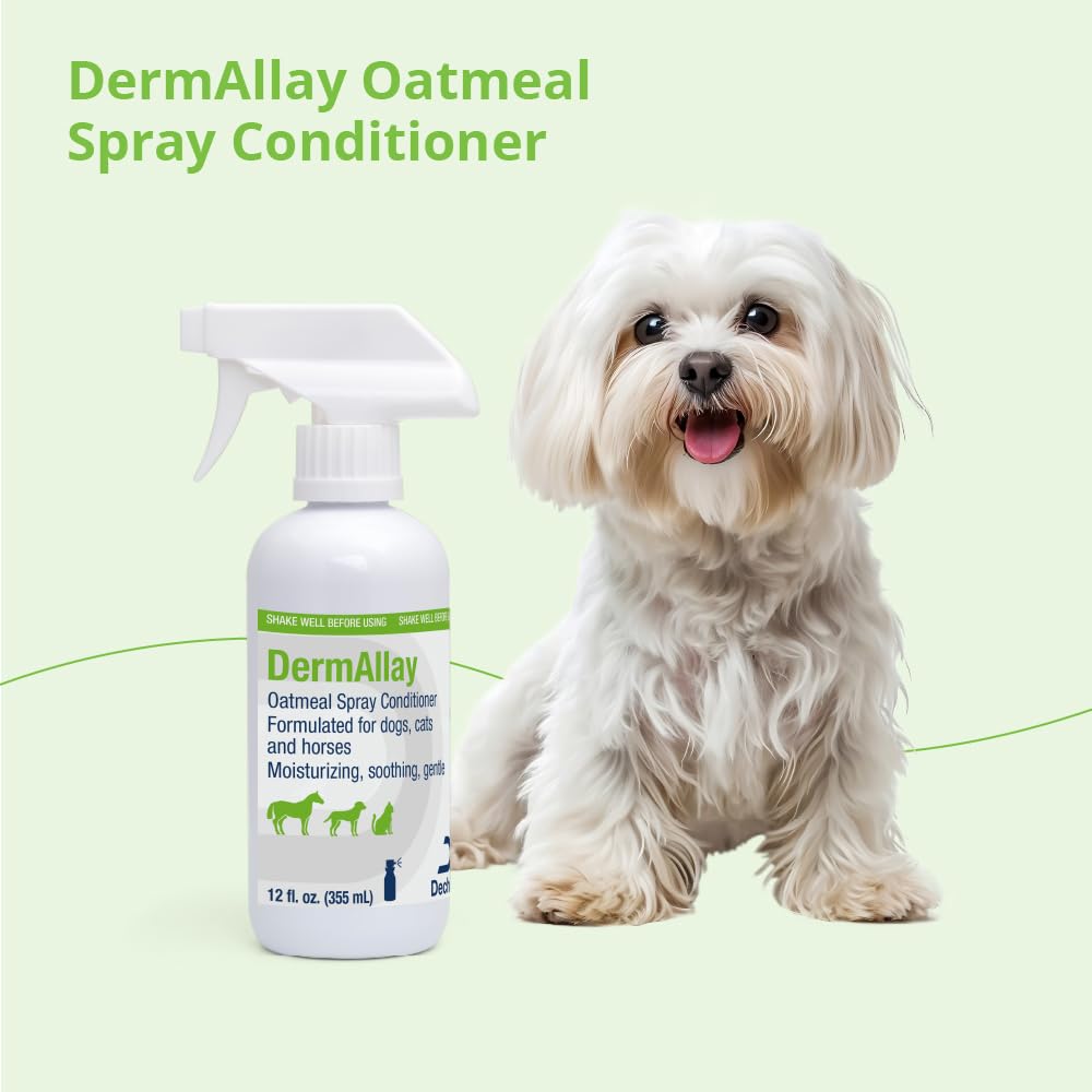 Dog coat after applying Dechra DermAllay oatmeal conditioner for softness
