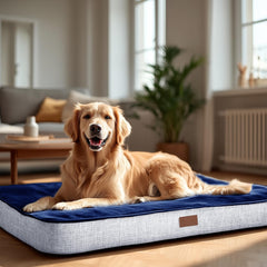 Deconovo orthopedic dog bed memory foam closeup highlights joint-friendly support and pressure distribution