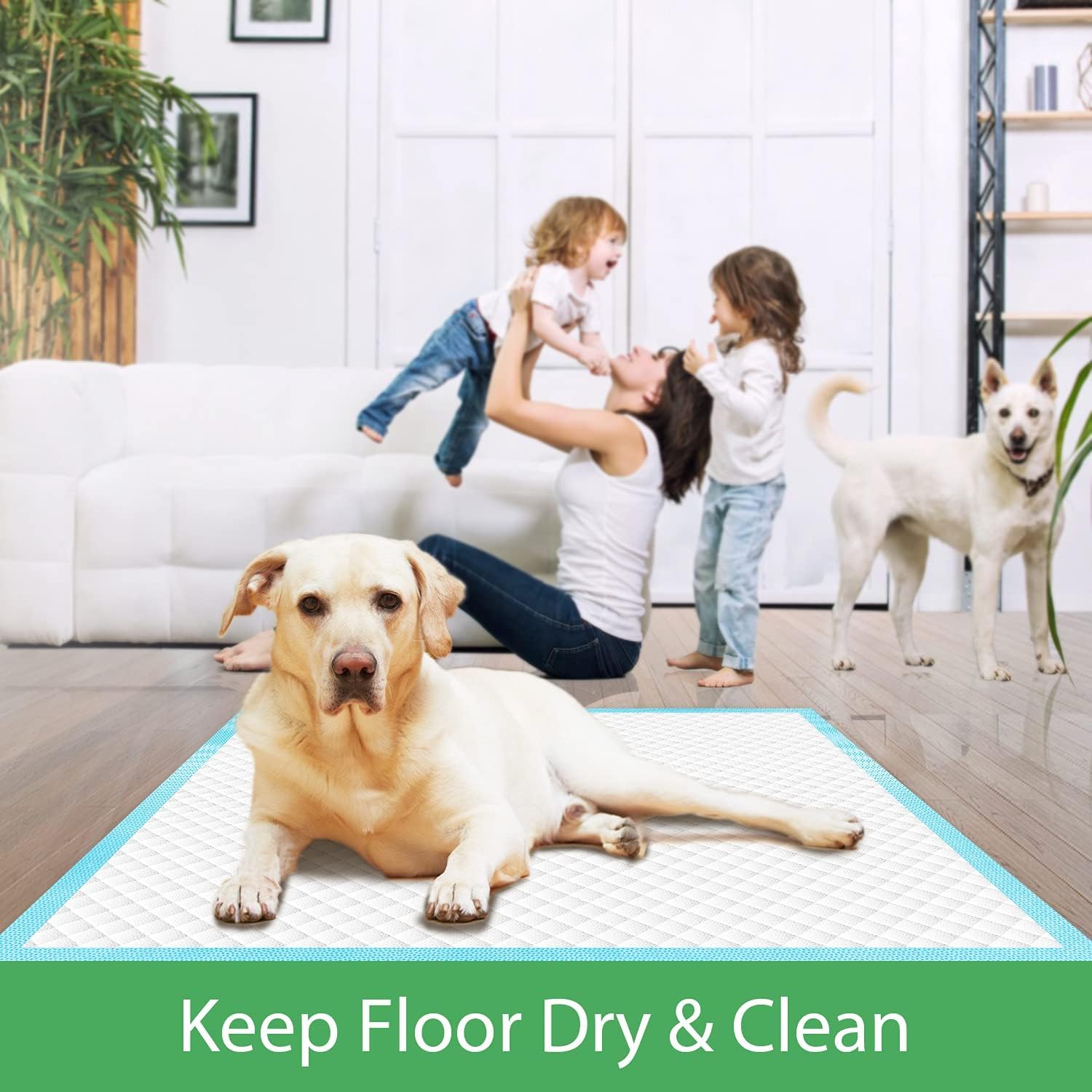 DEEP DEAR top layer dries surface quickly during pet visits.