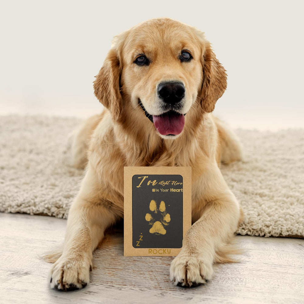 DeerZone dog nose print kit image adds a playful keepsake idea.