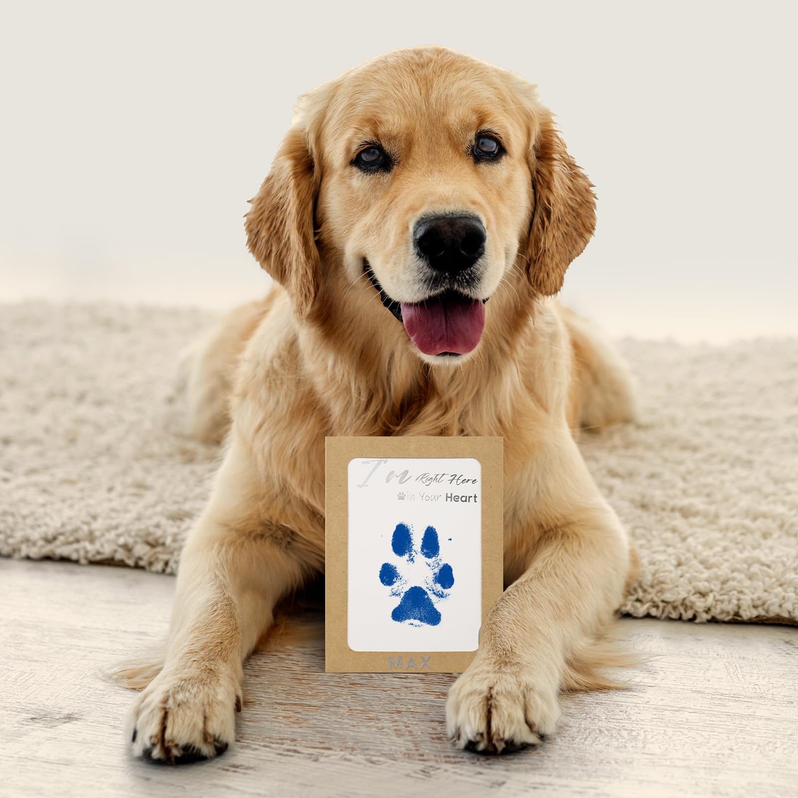 DeerZone Inkless Paw Print Kit memorial gift idea highlights a meaningful keepsake for pet lovers.