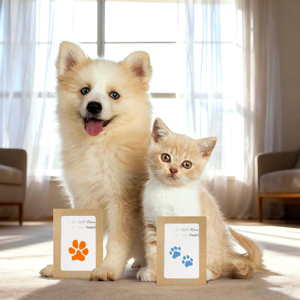 DeerZone inkless paw print kit unboxing visuals inspire memory-making with a clean setup.