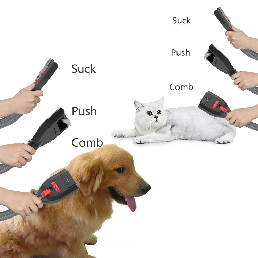 Defurry pet deshedding session shows cleaner fur-free surfaces after brushing.