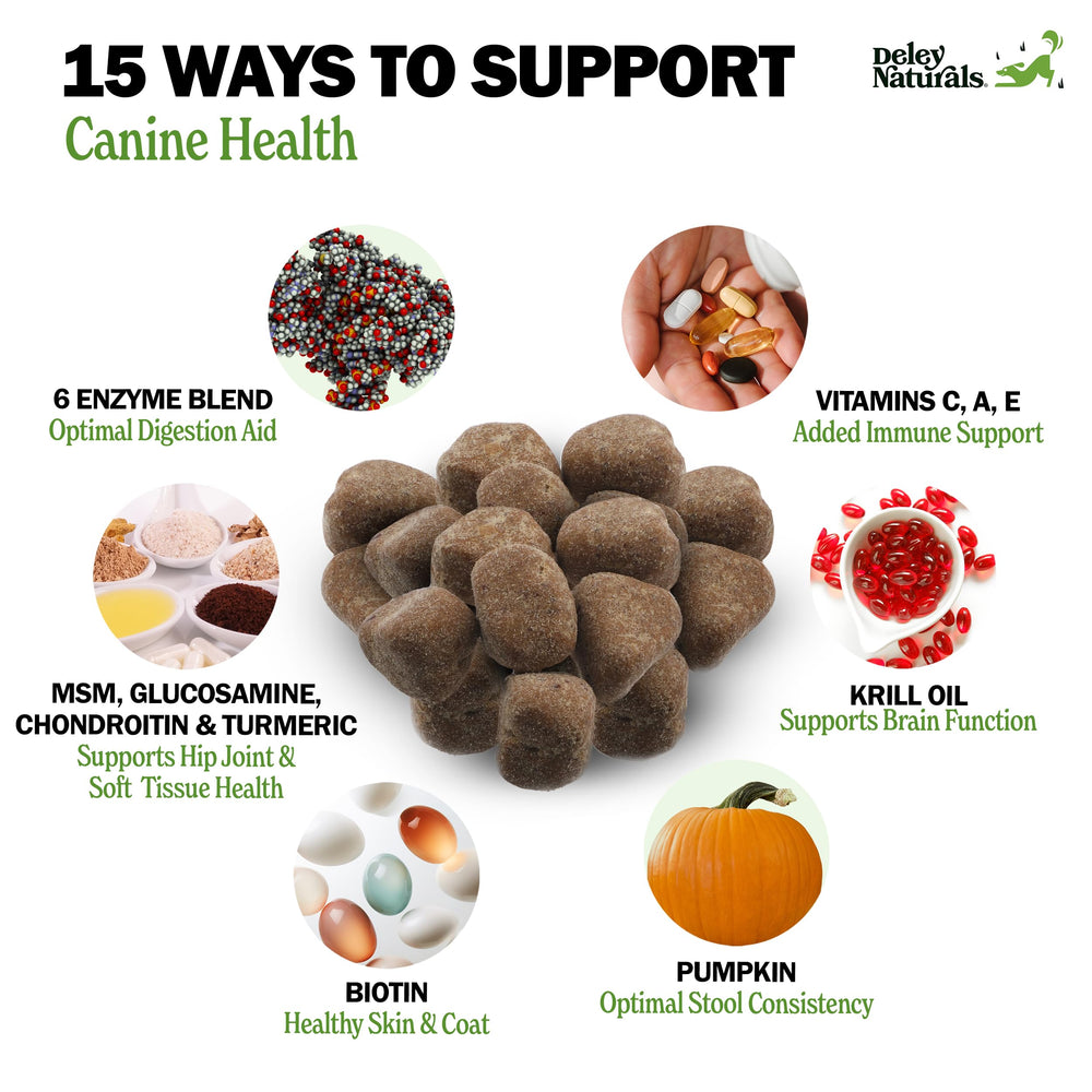 Deley Naturals dog chews close-up showing tasty texture for easy daily supplementation.