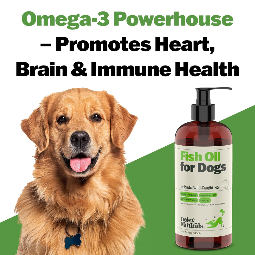 Deley Naturals Dog Fish Oil supports joint mobility during play