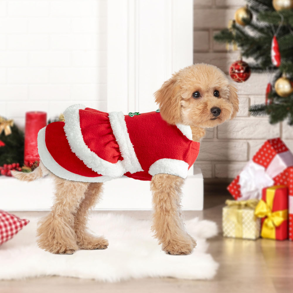 Delifur cat-dog Christmas dress holiday photoshoot ready for charming seasonal portraits.