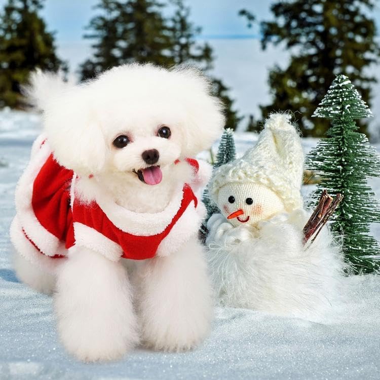 Delifur dog winter outfit XL shows chest and back coverage for small to medium dogs.