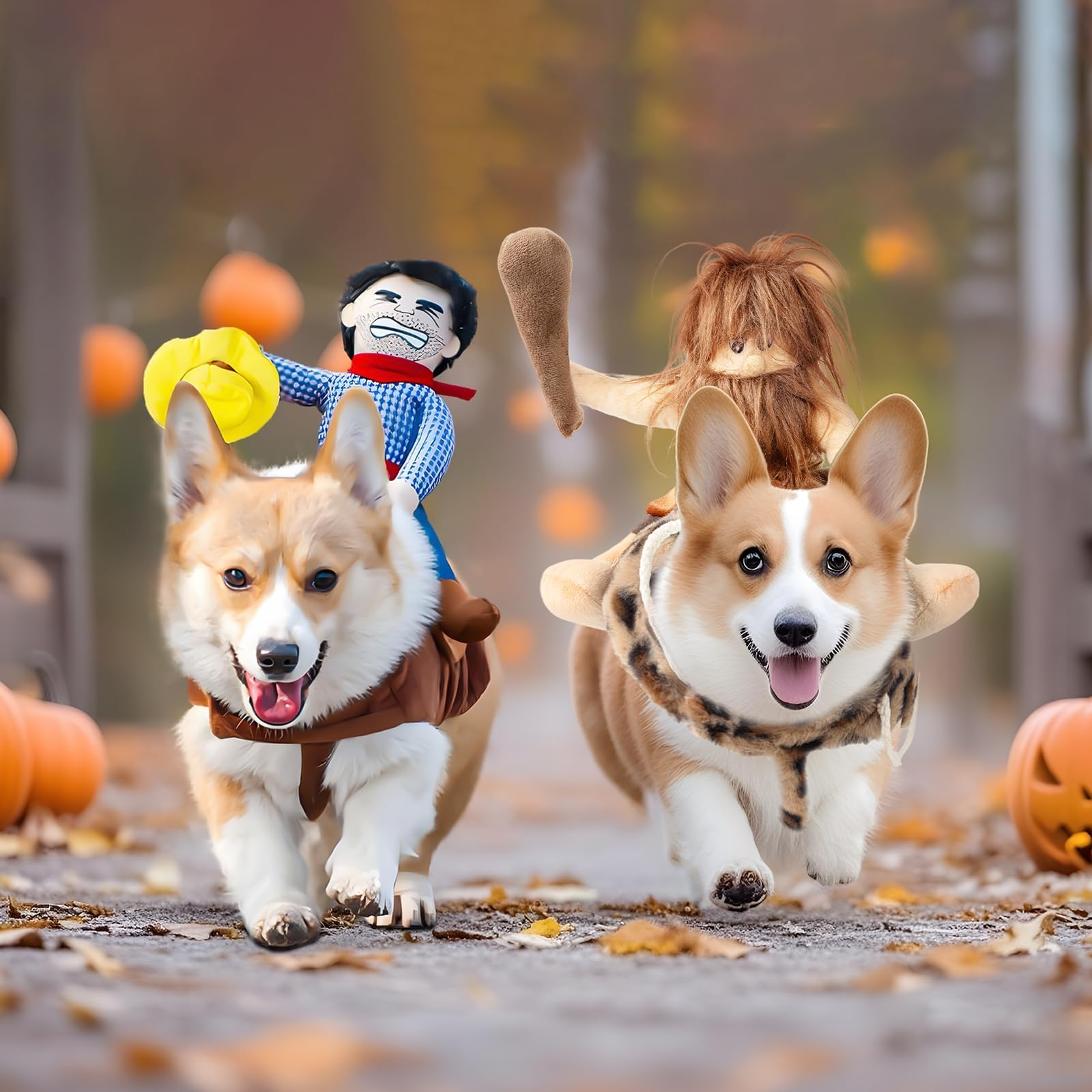 Delifur XL canine costume with sizing guidance for larger dogs.