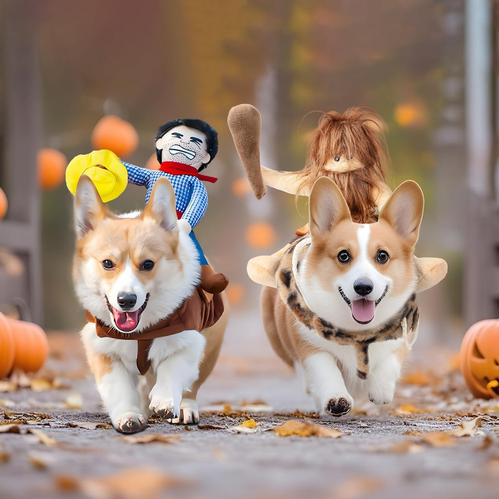 Delifur XL canine costume with sizing guidance for larger dogs.