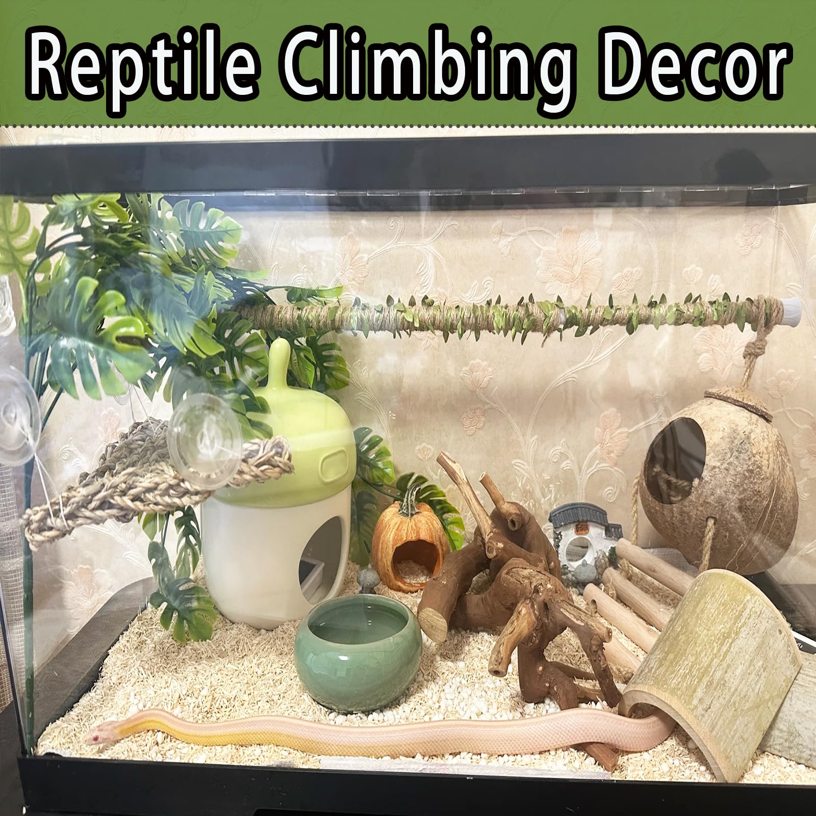 Delllala aesthetic terrarium decoration that blends with desert or rainforest themes.
