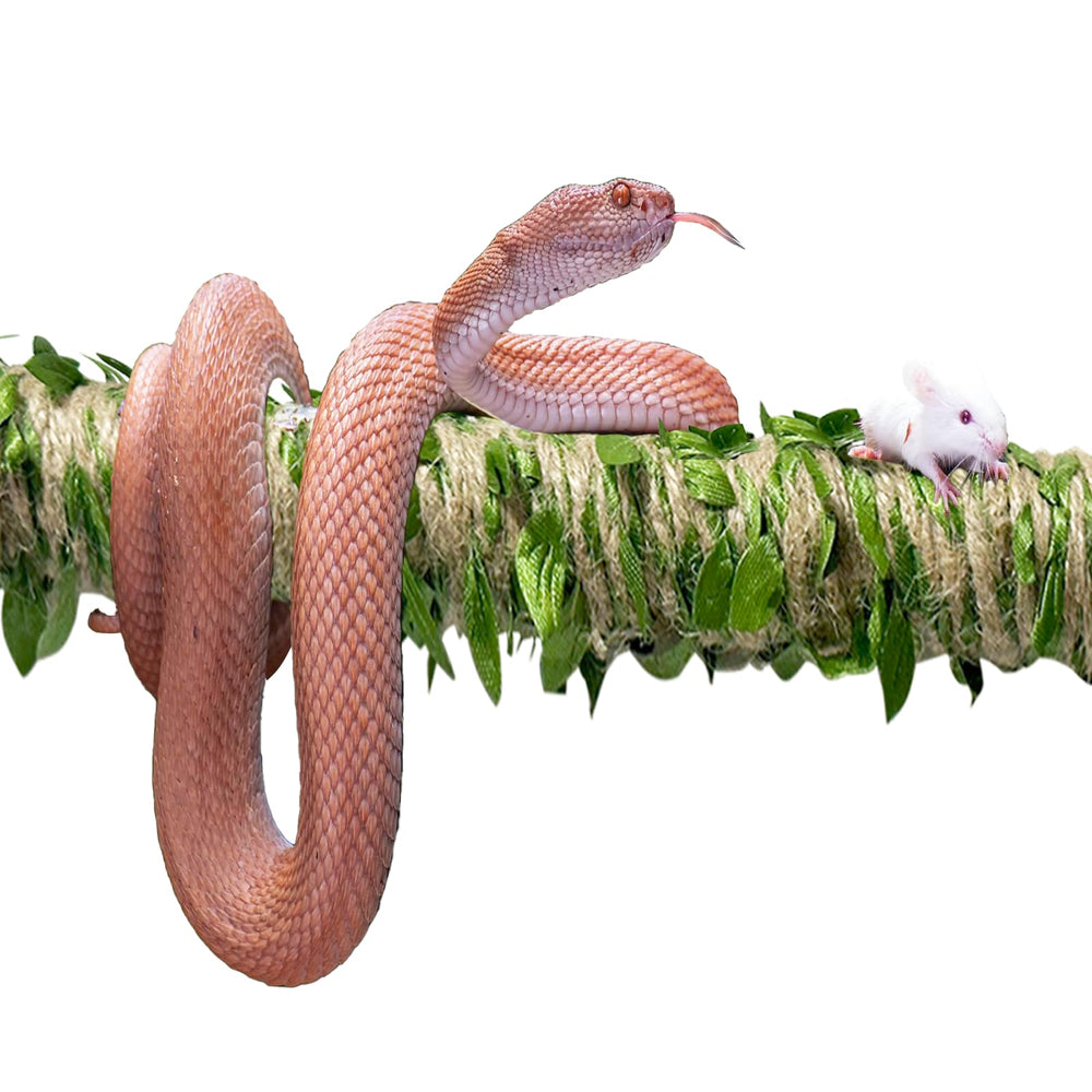 Delllala supports multi-species use in varied reptile habitats.