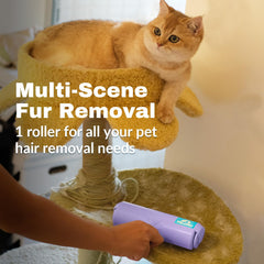 DELOMO Pet Hair Roller clean-up view shows easy maintenance with a damp cloth