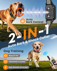 Delupet 2-in-1 training collar showcases versatile modes for customized coaching.