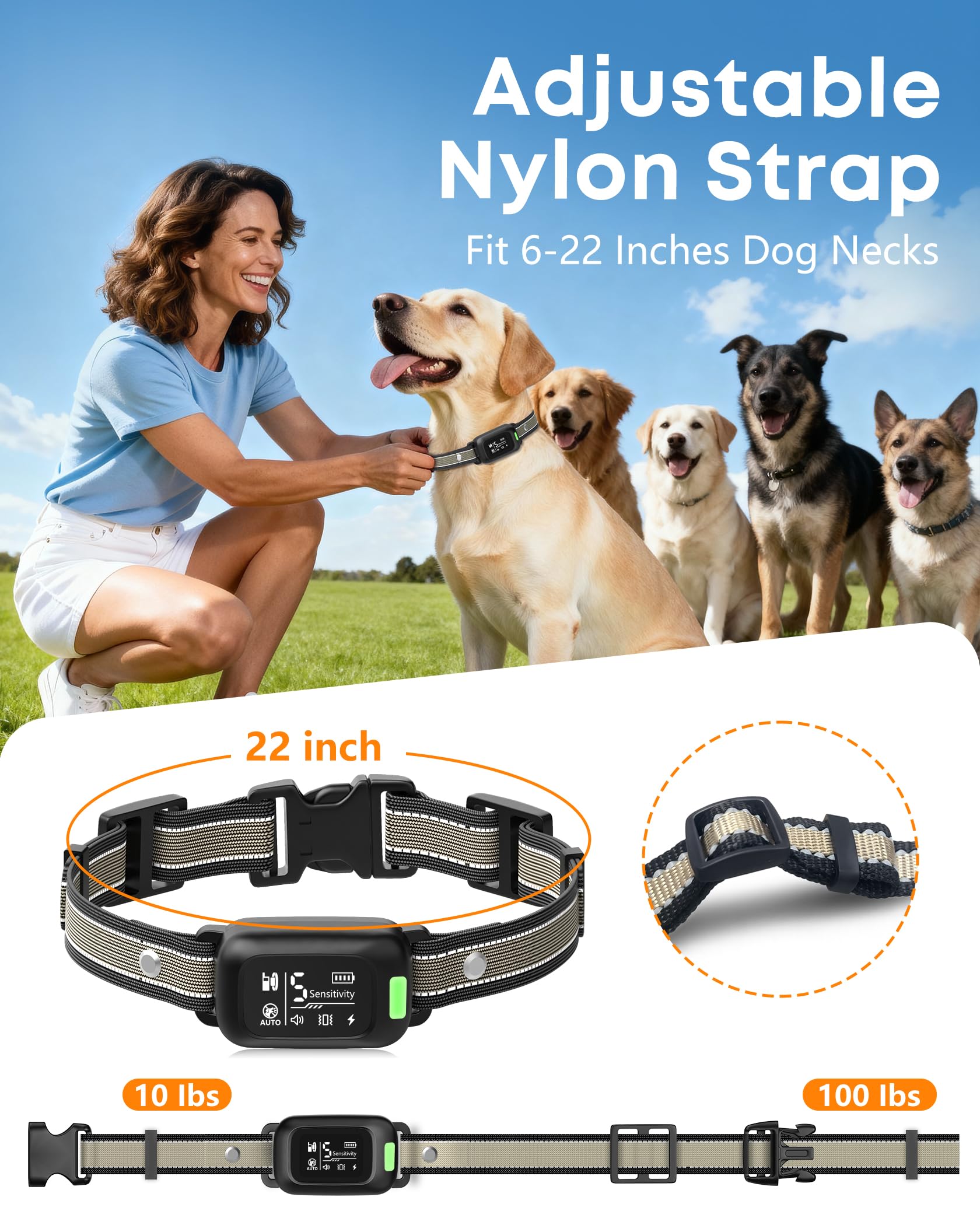 Delupet adjustable nylon strap shows flexible fit for small to large dogs.