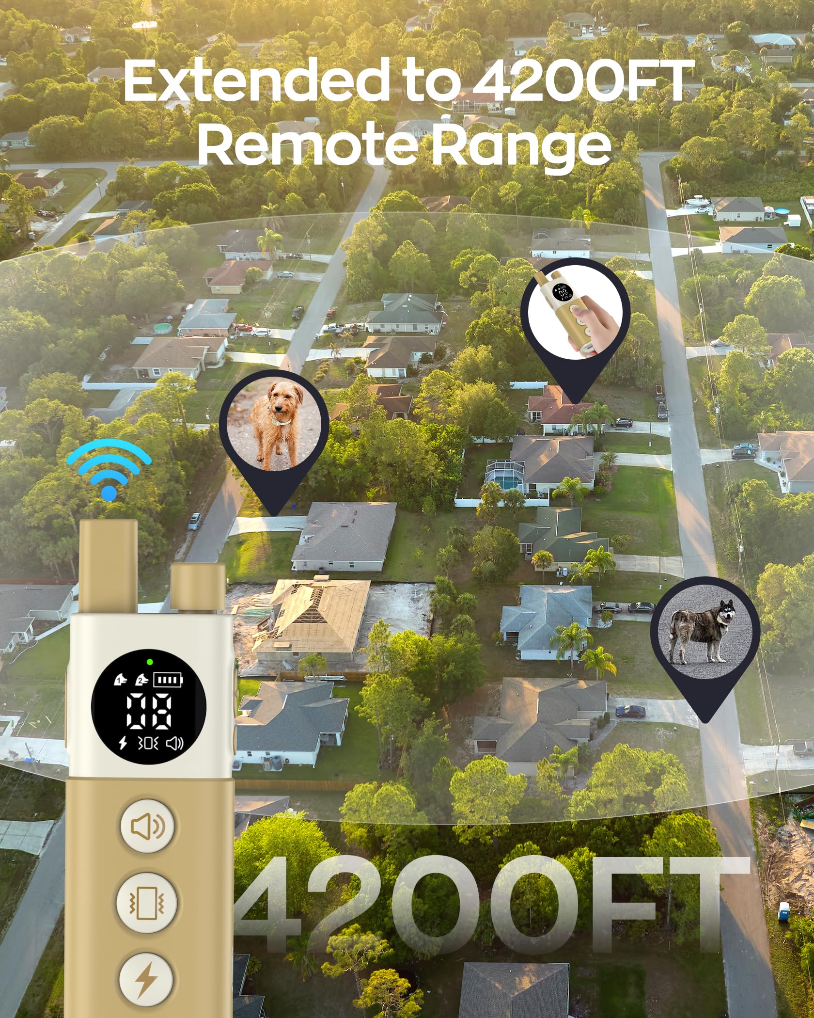 Delupet training modes image shows beep, vibration, and safe shock options.