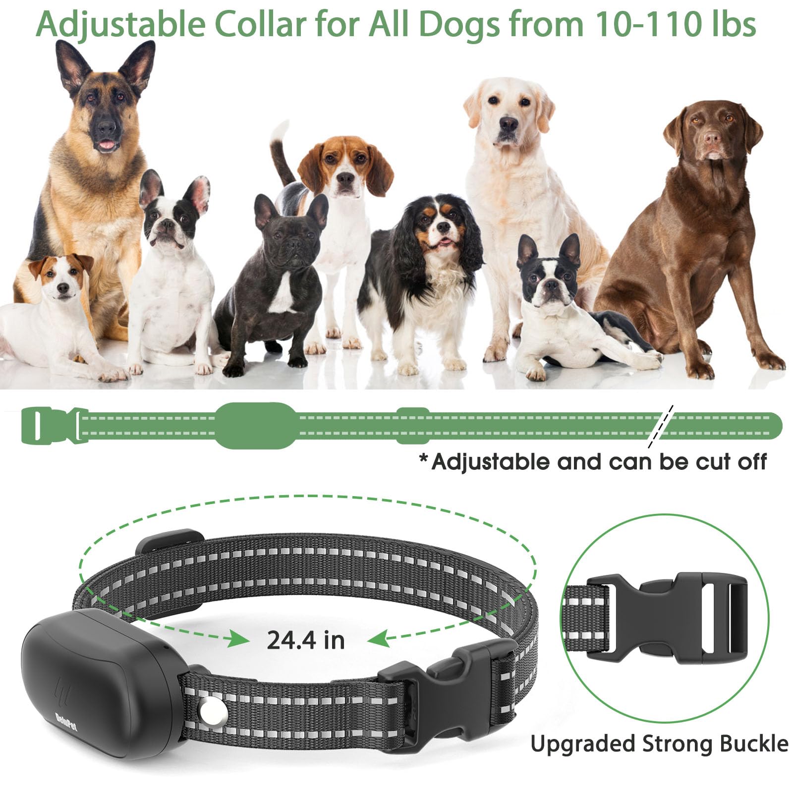 Delupet training in park or backyard showcases everyday use.