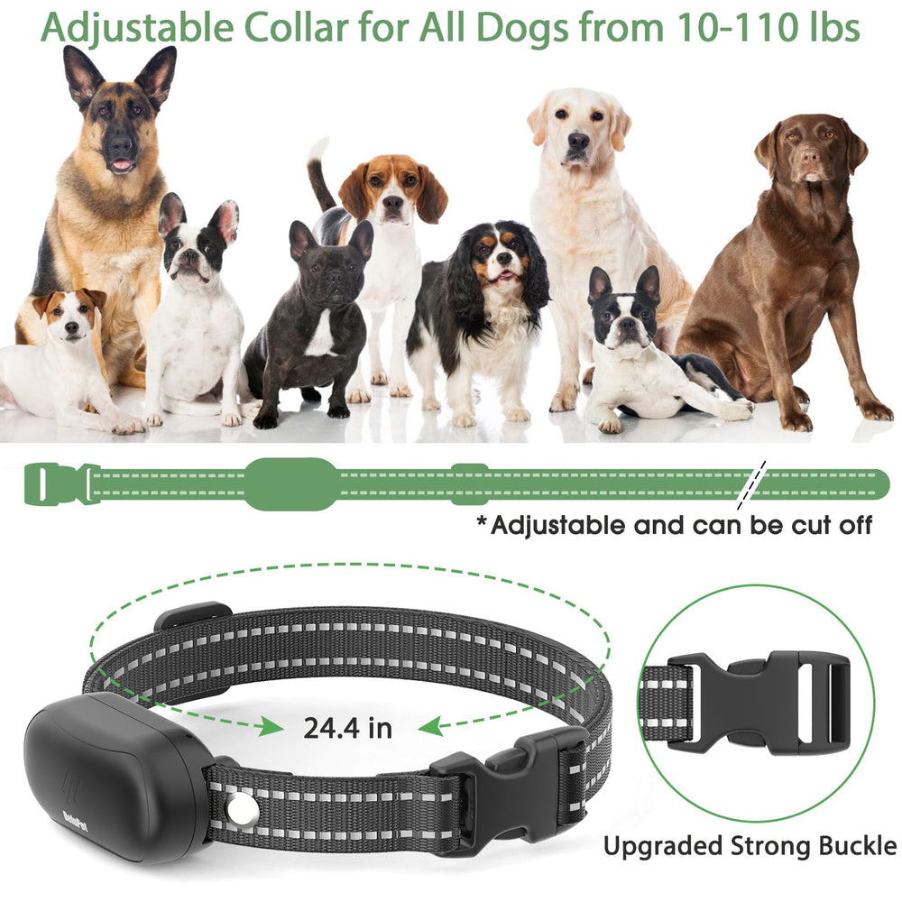 Delupet training in park or backyard showcases everyday use.