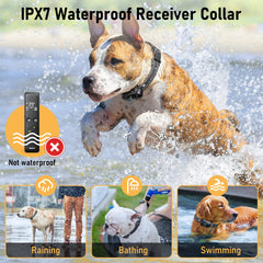 Delupet rechargeable battery pack enables long sessions with quick charging between uses.