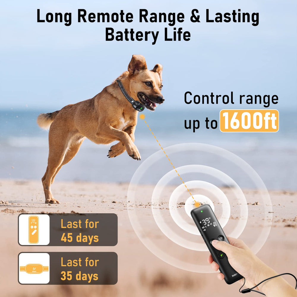 Delupet training modes include beep, vibration, and shock to tailor training needs.
