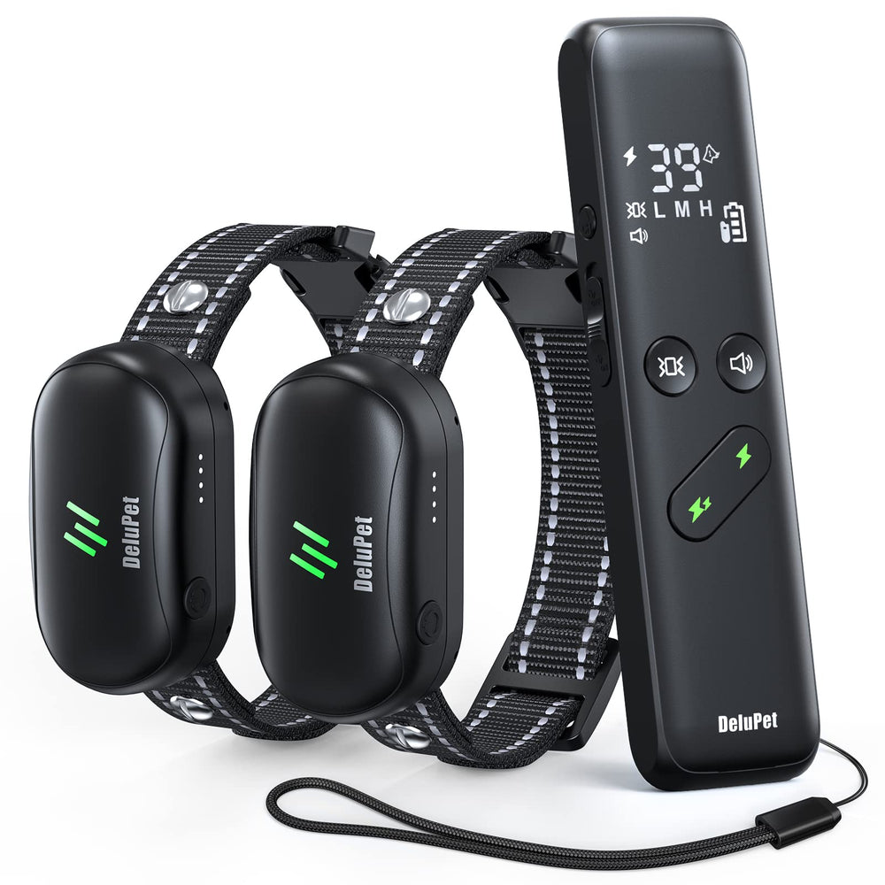 Delupet two-dog training collar remote demonstrates long-range control for recall training.