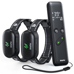 Delupet two-dog training collar remote demonstrates long-range control for recall training.