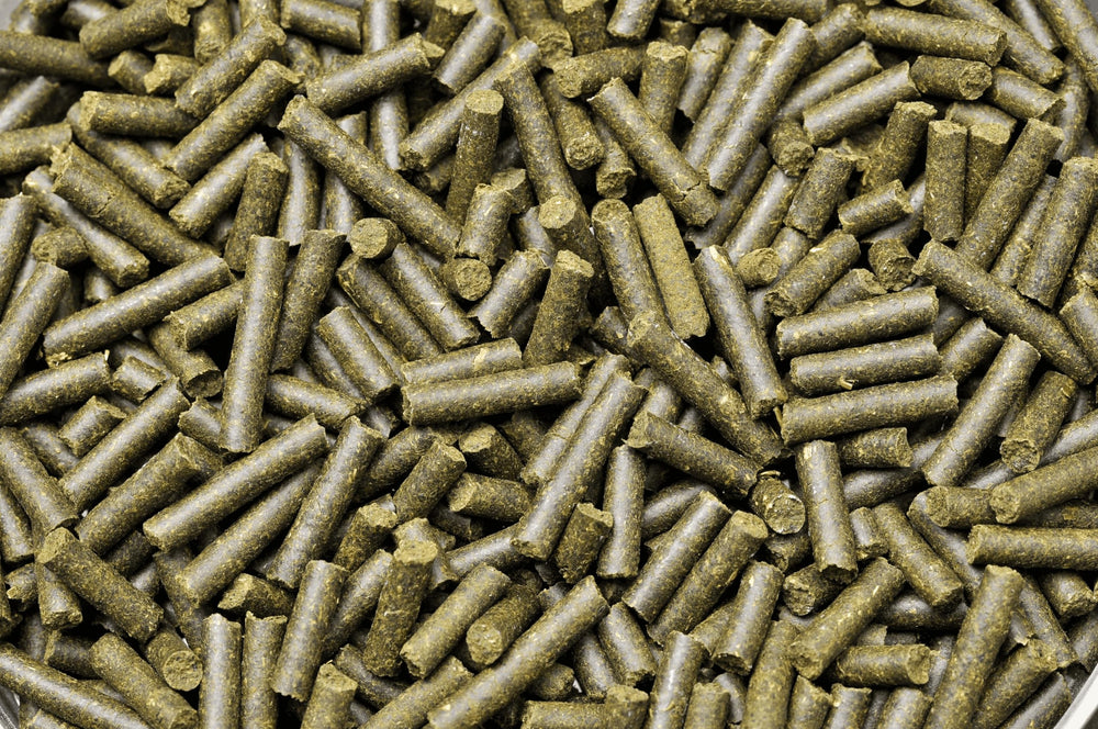 Dennerle Shrimp King Complete ingredient close-up highlighting protein-rich aquatic feed animals.
