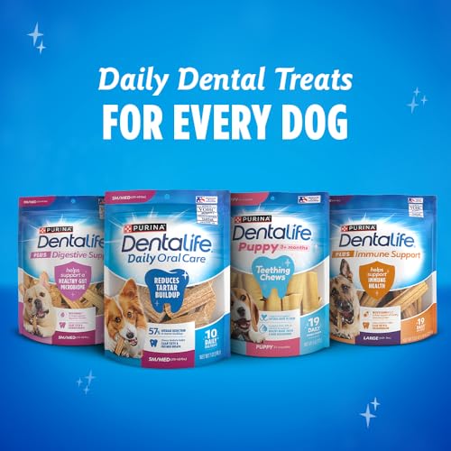 Dentalife ActivFresh 90-chews total offers a comprehensive family pack.