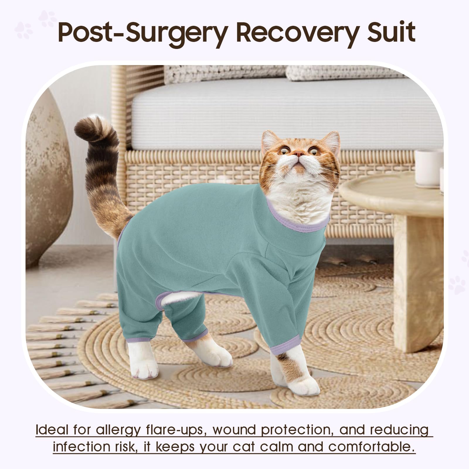 DENTRUN cat-apparel-easy-care-machine-wash makes maintenance simple.