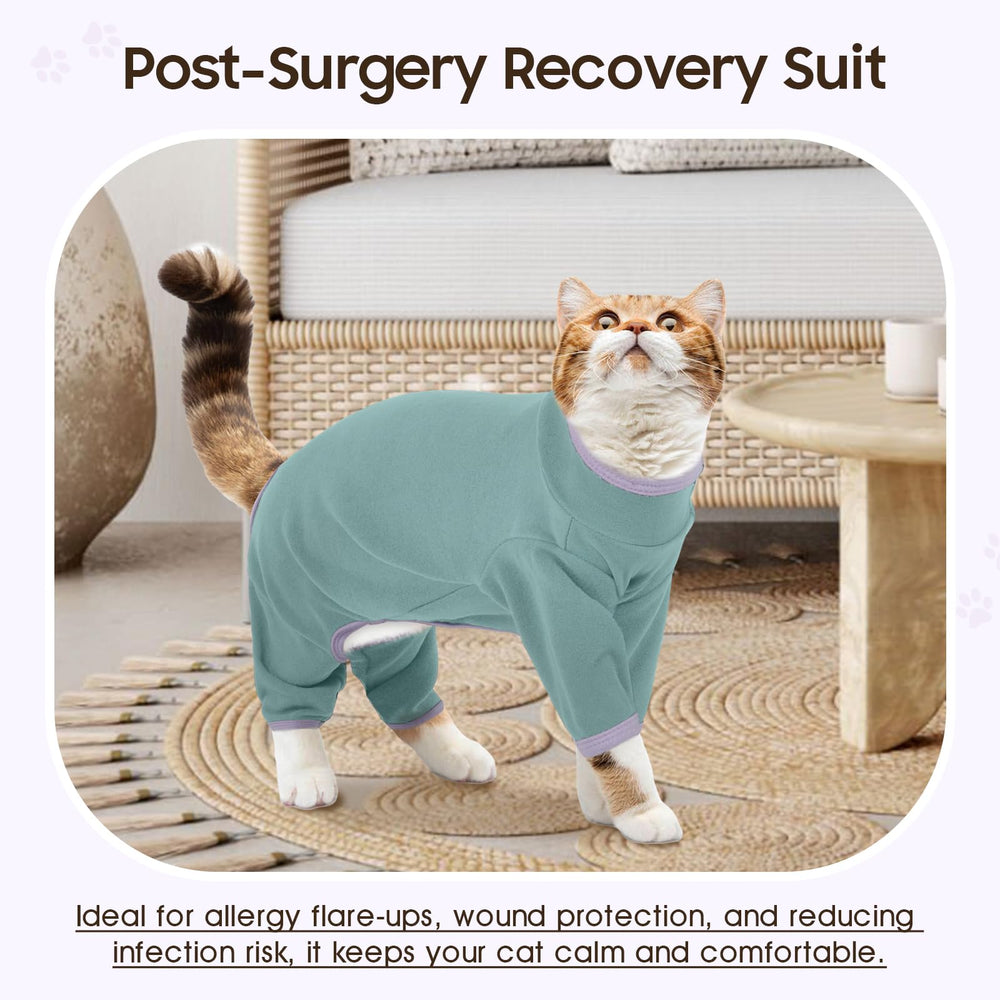 DENTRUN cat-apparel-easy-care-machine-wash makes maintenance simple.