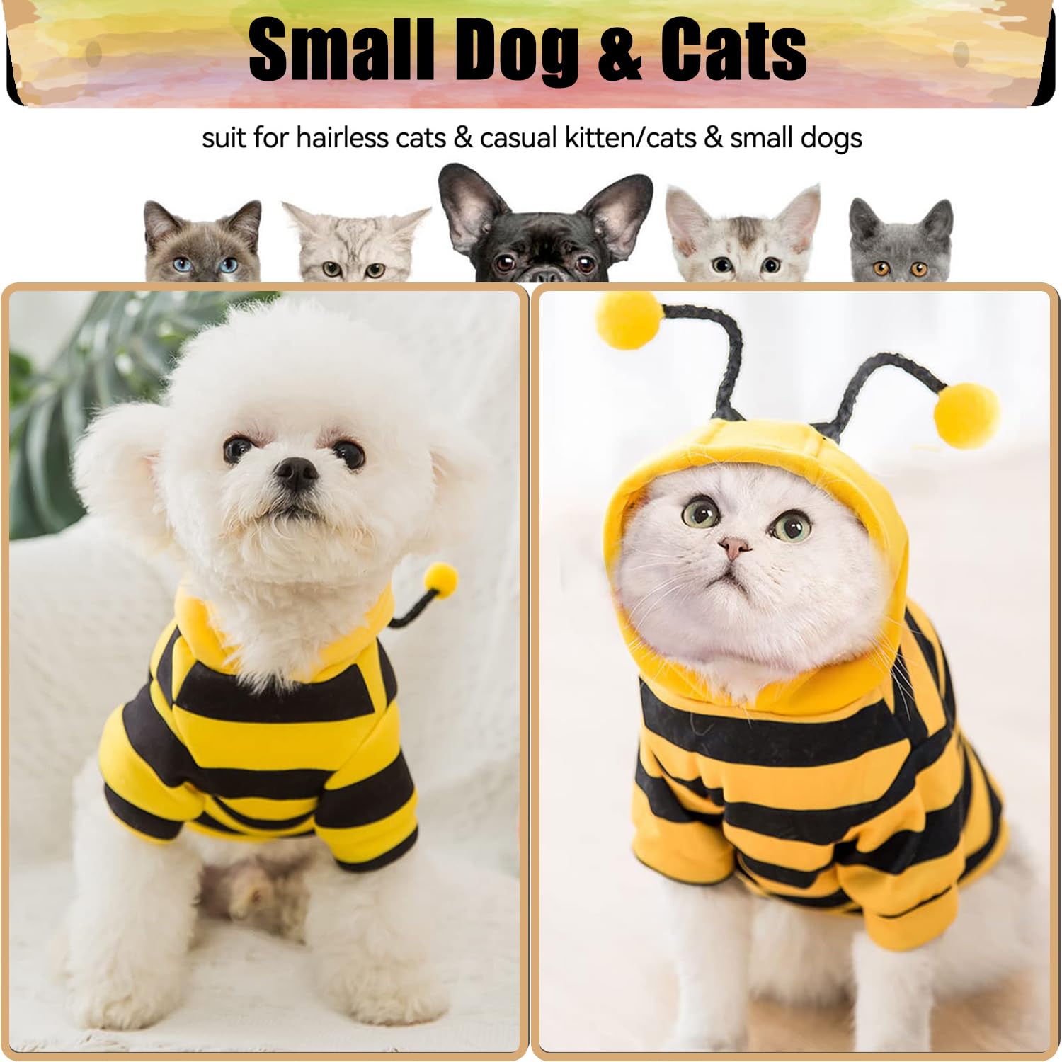 DENTRUN cat-costume for photos demonstrates cute looks for events.