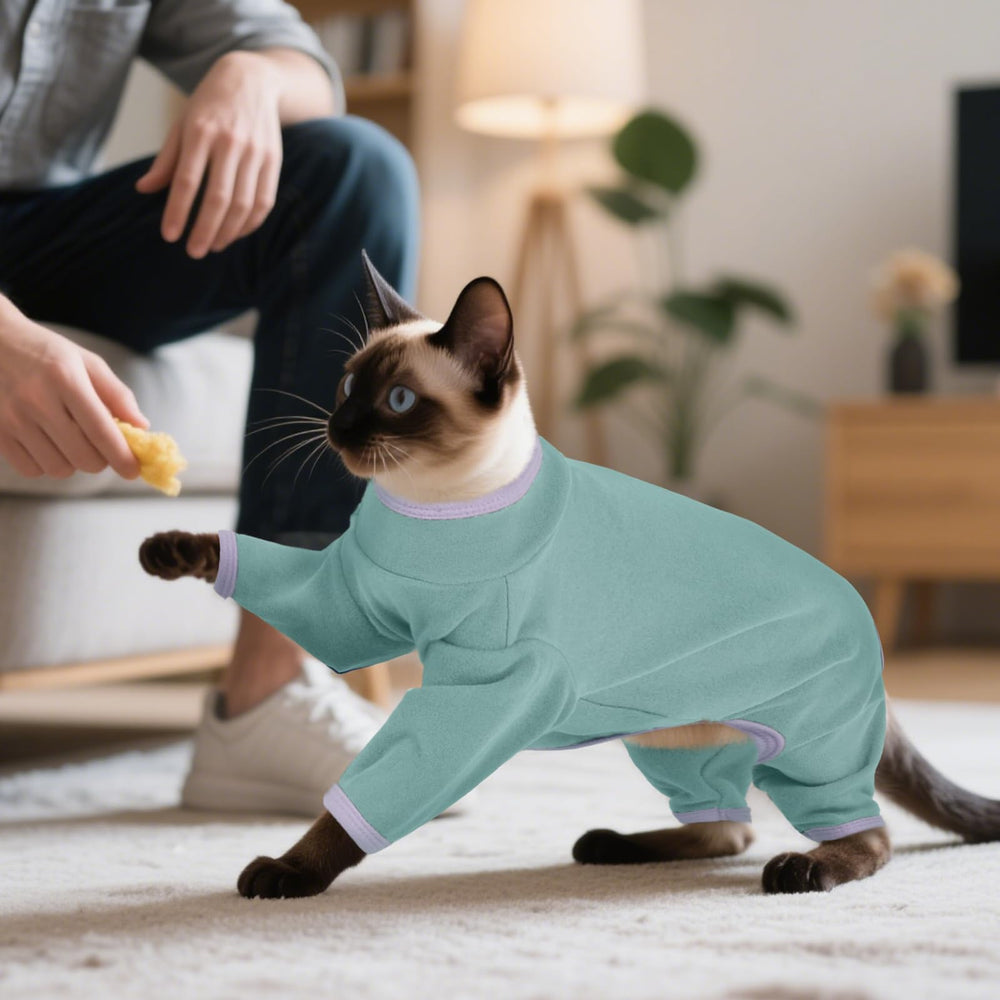 DENTRUN cat-sleep-outfit-cozy-design suits lounging and naps.