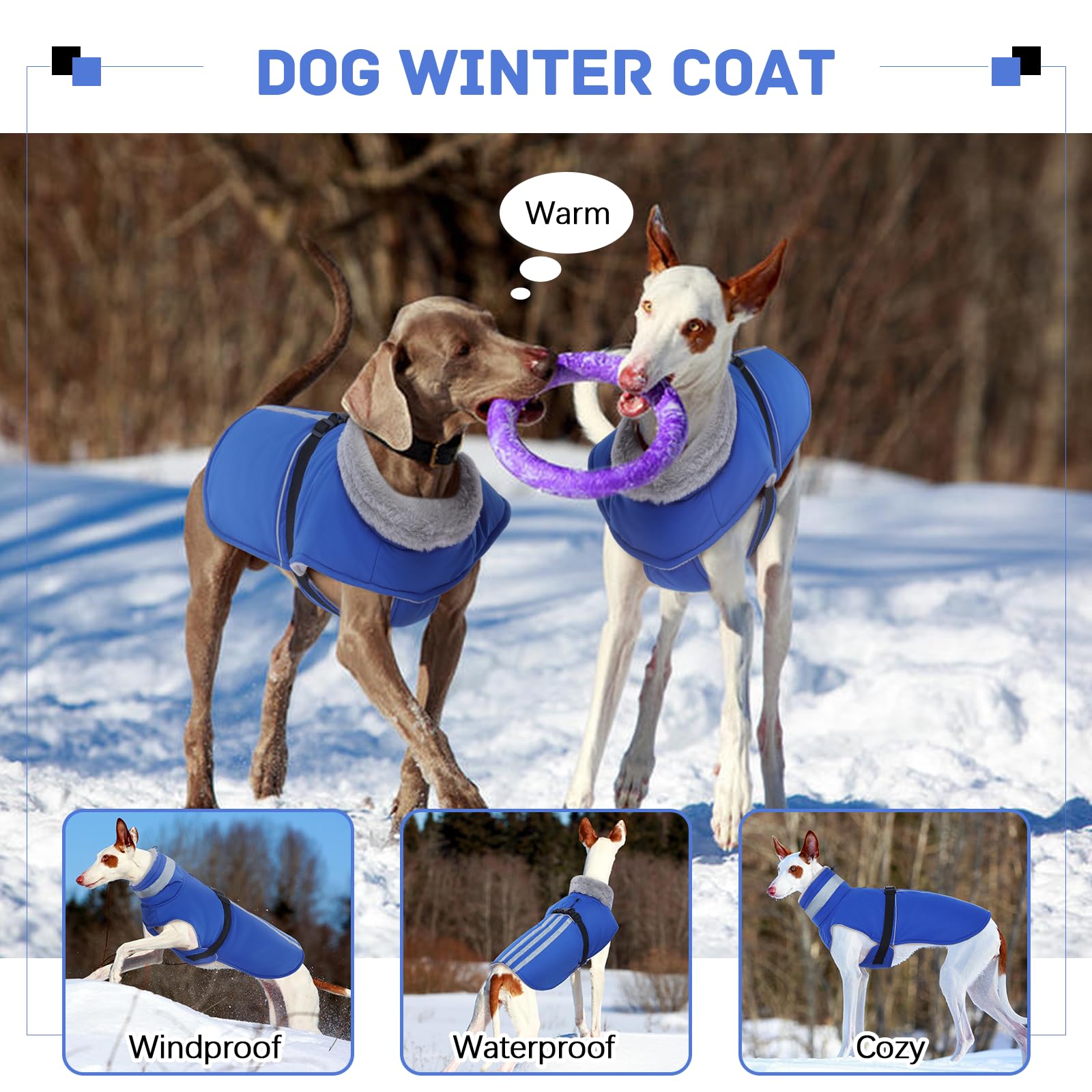 DENTRUN dog coat back leash hole for simple leash attachment