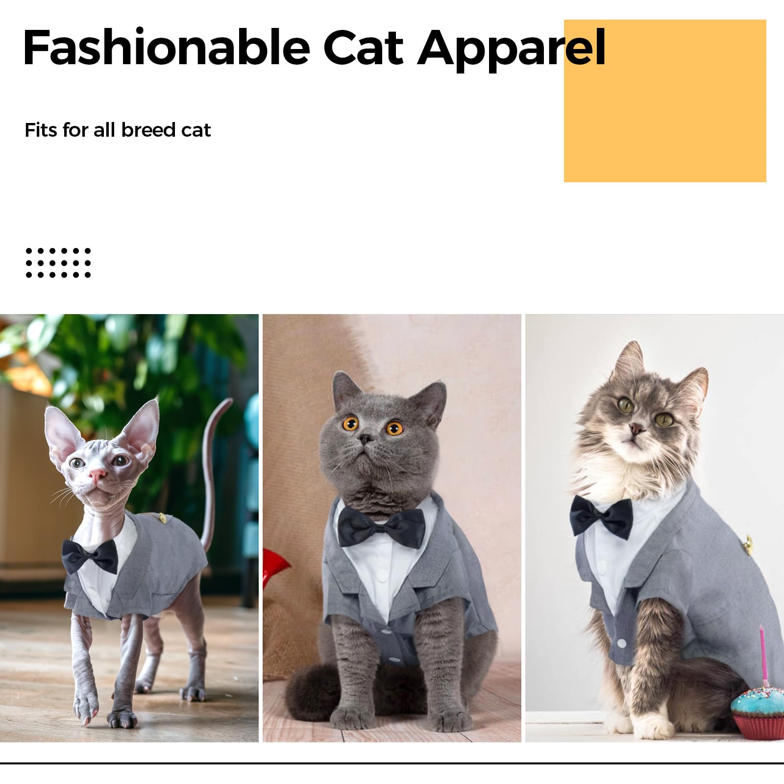 DENTRUN easy-on button closure facilitates dressing cats