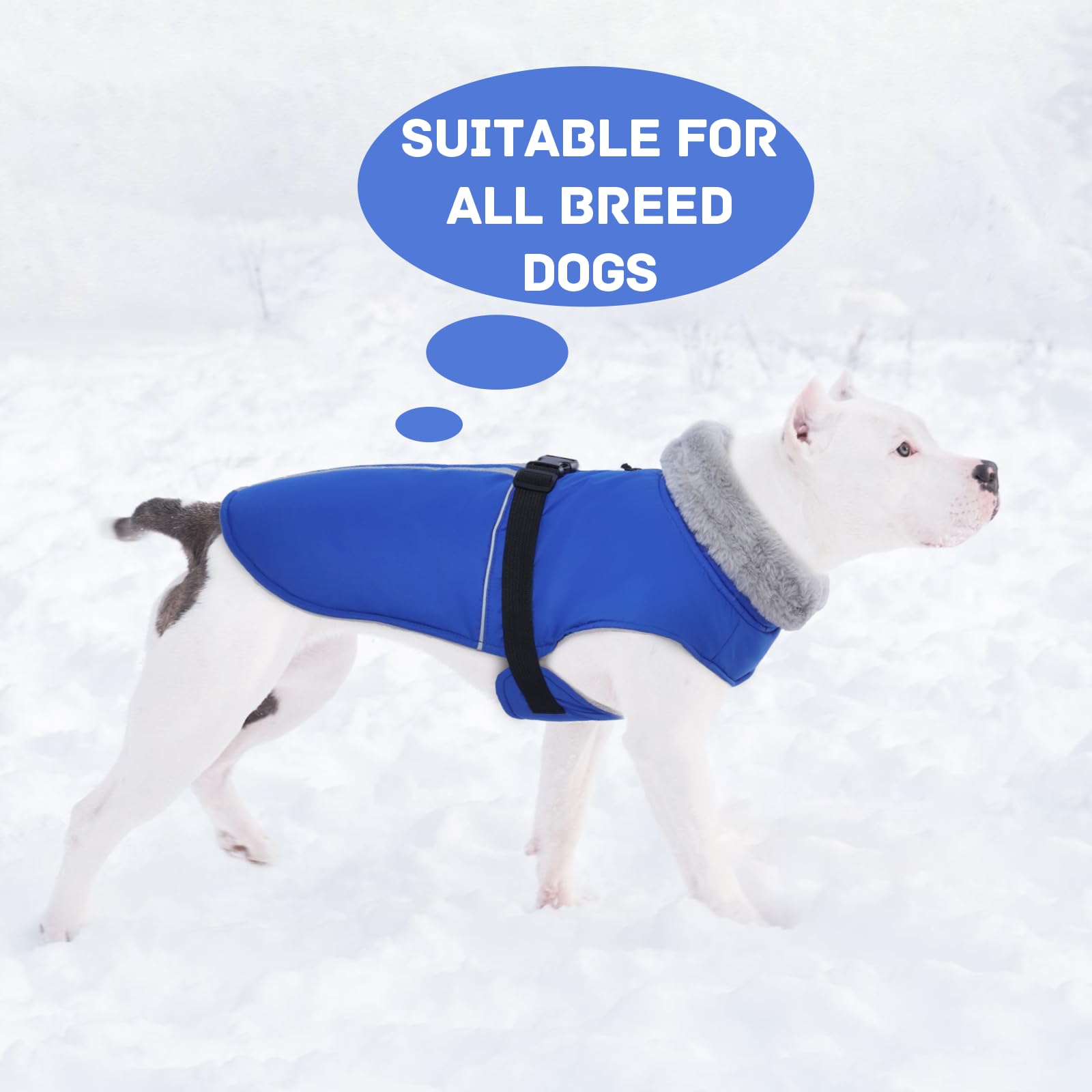 DENTRUN extended tail coverage keeps hind area warm in snow and rain.